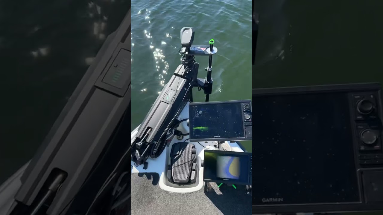 All Aboard Marine - Livescope Mount, Boat Accessories, Motorized