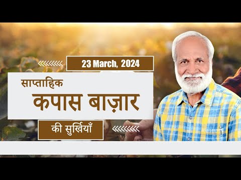 साप्ताहिक कपास बाजार पर एक नजर | Weekly Cotton Market  #kapas #cotton #textile #weekly