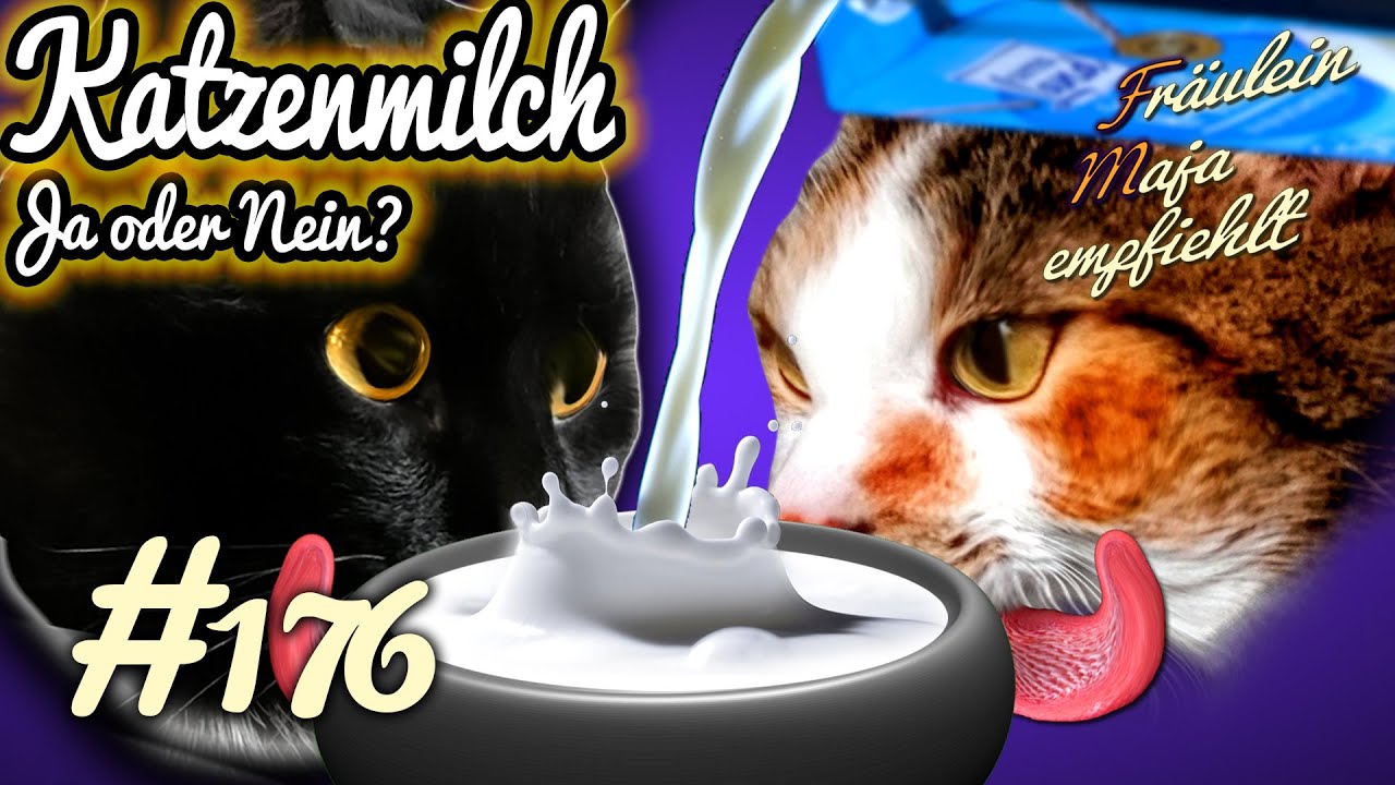 Finger weg von Katzenmilch!