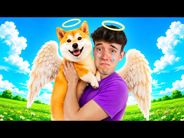 ¿Todos Los Perritos Van Al Cielo?