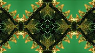 VJ Loop #14 Kaleidoscope Video Background Screensaver 1 Min