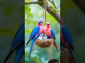 🥰🥰 #birds #nature #beautiful #love #explore #viralvideo #viralshort