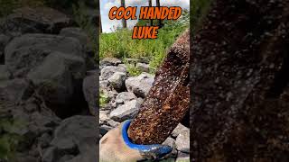 Cool Hand Luke Parking Meter Found? 🎥 Magnet Fishing Surprise in Ithaca, NY Pruyne Time