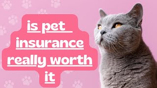 is pet (dog) insurance really worth it? how does it actually work?🐶Everything you need to know