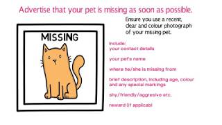 Lost Pets 101