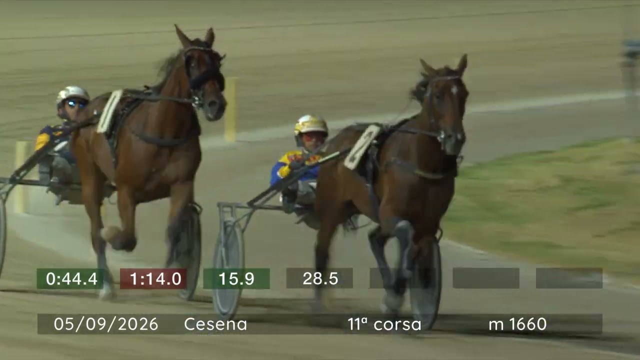 2026 09 05 | Corsa 11 | Metri 1660 | Premio Campionato Europeo Gruppo Orogel - Finale