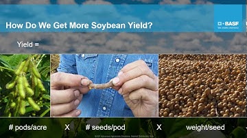 Webinar: Evaluating Critical Management Strategies to Increase Soybean Yields