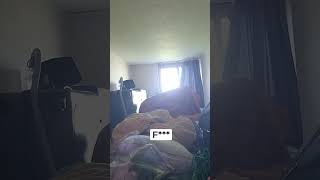 I Wasted An Entire Day In Japan Because I Fell Asleep. Then This Happened.