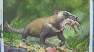 Scientific American - Visualizing the Mammals That Ate Dinosaurs