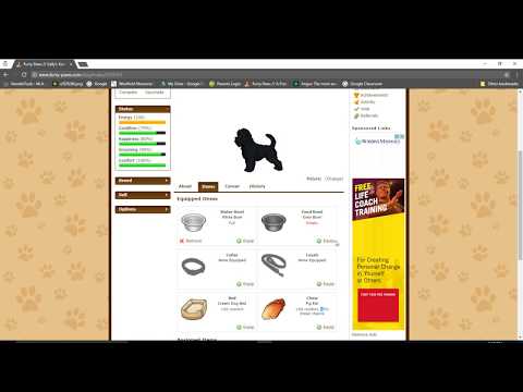Furry-Patas Tutorial: Como cuidar de seus cães
