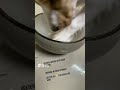 What should I eat | where is my food?? #shorts #youtubeshorts #ytshorts #pets #funny