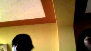 Capture 20120310