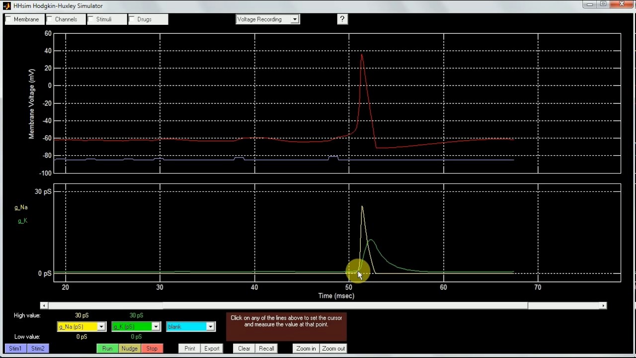 Tutorial Simulador HHSim - Práctica Nro. 2 Fisiología I - YouTube