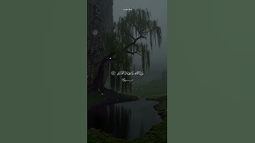 ﴿إِنَّمَا هَذِهِ الْحَيَاةُ الدُّنْيَا مَتَاعٌ﴾ تلاوة تبكي القلوب #محمد_صديق_المنشاوي #تلاوة_خاشعة