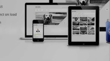 Next vCard - Responsive Wordpress Theme + Download