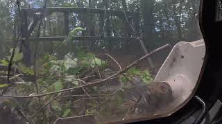 Why Rent Goats? Forestry Mulching Clears 10 Years of Overgrowth in Under 1 Hour