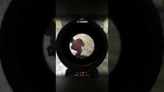 Cupboard Creepin   #insurgencygame #gamesonyoutube #steam #youdirtyrat #cupboardcreepin