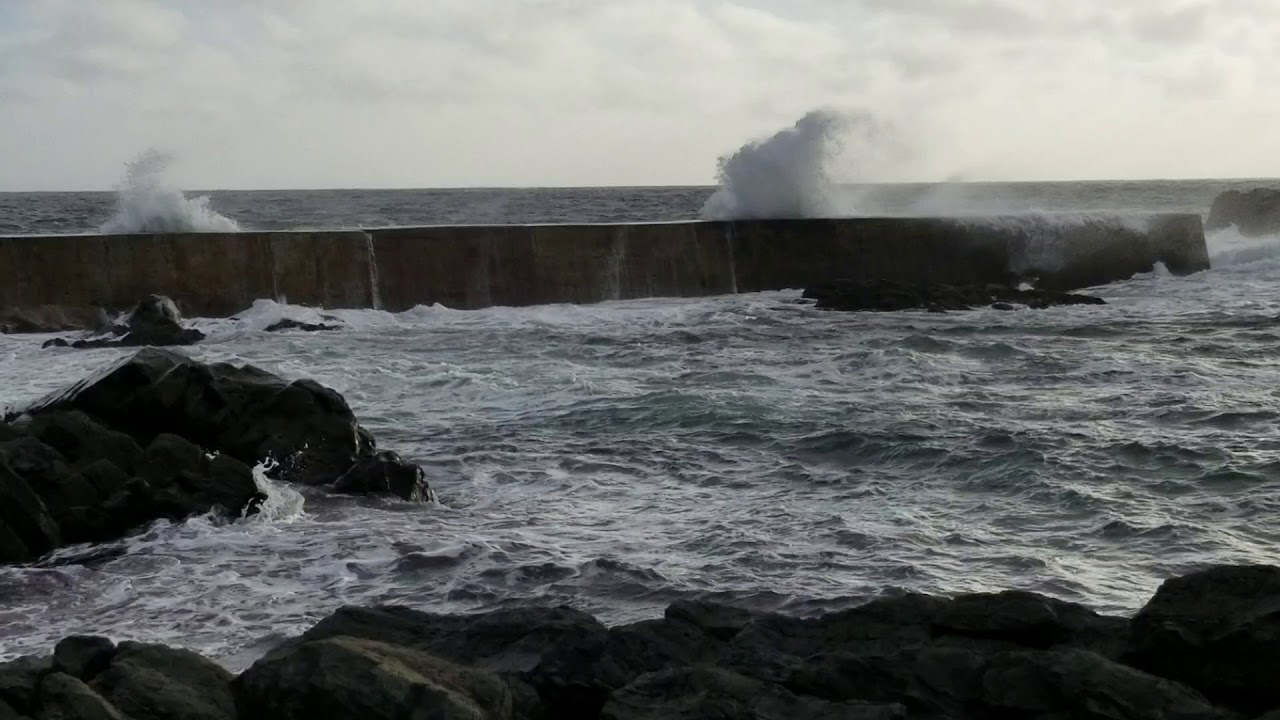 Lower Island Cove N.L YouTube