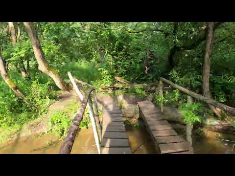 Grivno - Podolsk 2025 cross country run