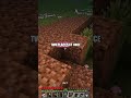 Minecraft Glitch They Don't Want You To Know 💎 #shorts