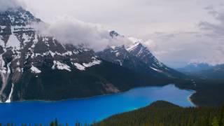 Itsy Bitsy Spider Instrumental The Green Orbs Royalty Free Music