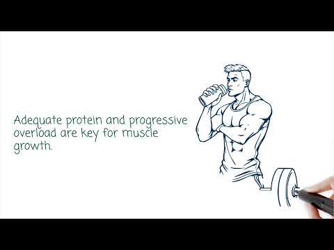 Muscle growth explained
