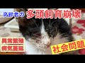 ⚠️ストップ多頭飼育崩壊⚠️社会問題　高齢者の多頭飼育崩壊、背景に抱える問題