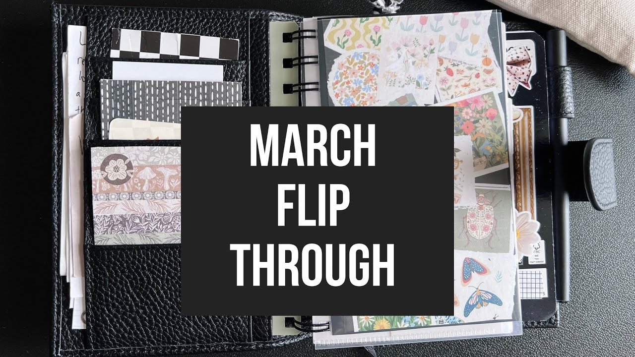 March Planner Flip Through - Day Designer - Pocket Planner - Chat 