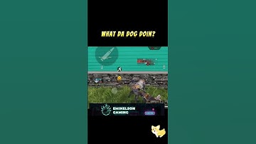 What da dog doin? #shorts #codm #codmobile #memes #viral #callofdutymobile #ytshorts #codmmemes