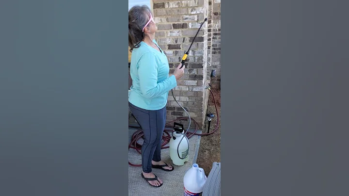 Unbiased Review 30 SECONDS Outdoor Mold & Mildew Cleaner