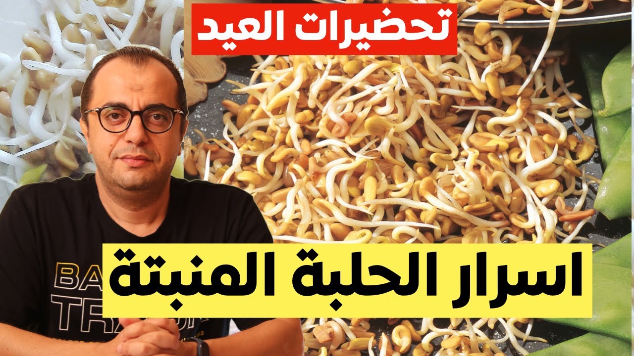 #تحضيرات_العيد - اسرار الحلبة المنبتة