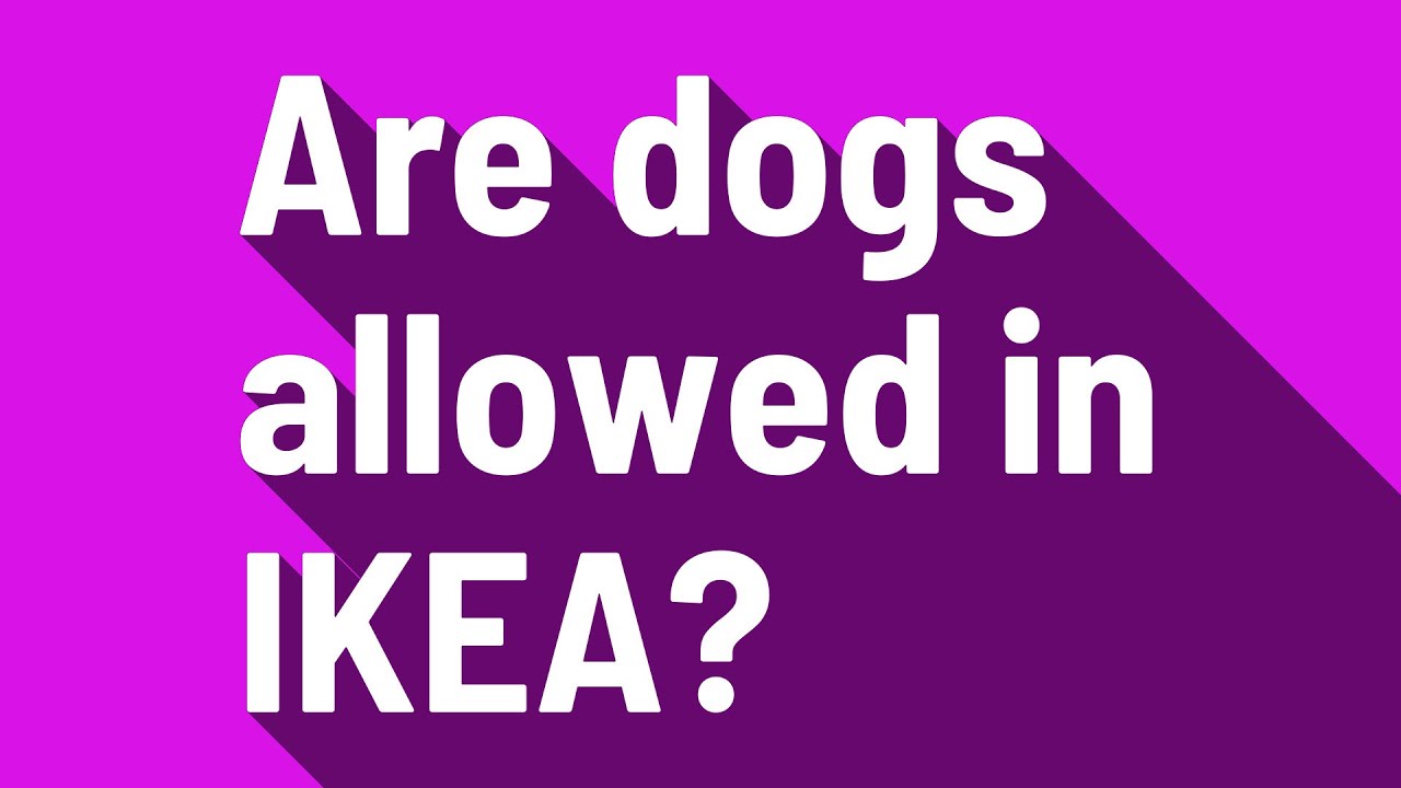 Are Dogs Allowed In Ikea Us?