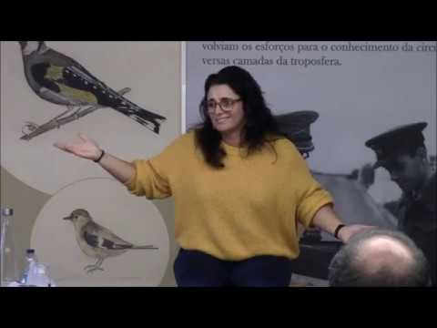 Contos com Bru Junça