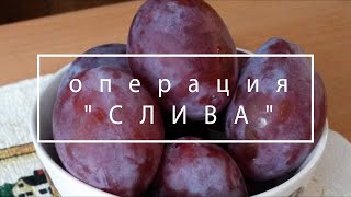 Операция &quot;СЛИВА&quot;