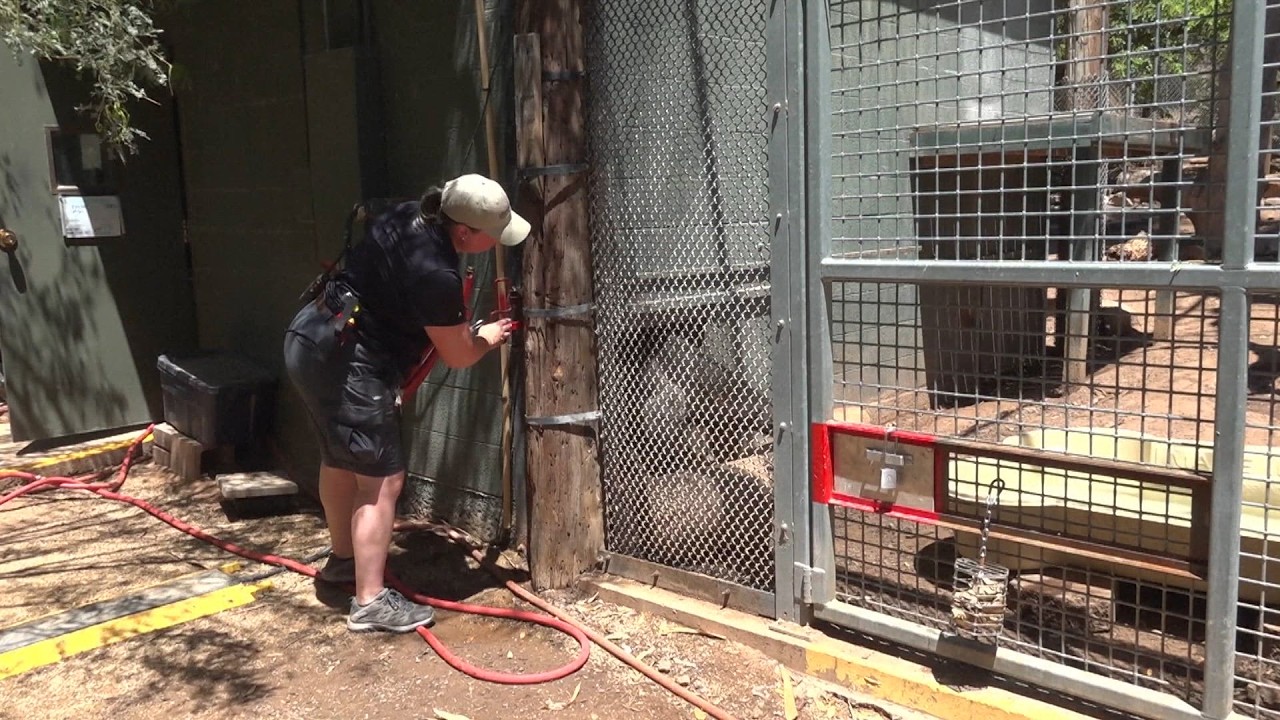 Phoenix Zoo taking steps to keep animals cool as temperatures