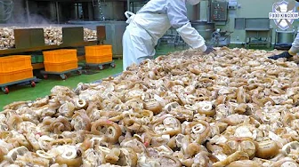 Large amounts of food making in giant cauldron / korean food factory