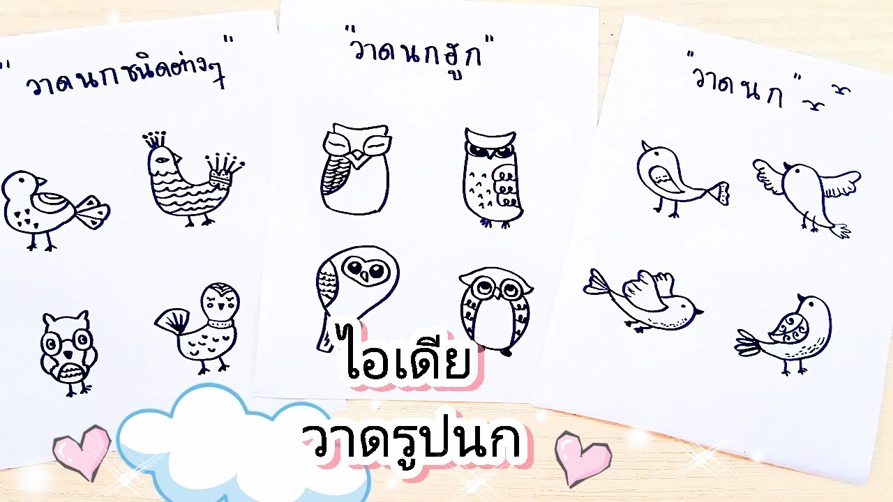 How to draw bird and owl. วาดรูปนกฮูก วาดรูปนกง่ายๆ - YouTube