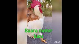 Suara Motor Lucu Banget