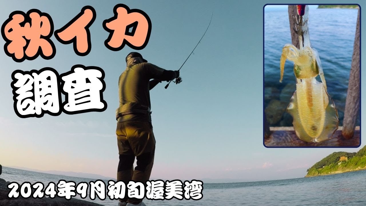 【エギング】2024年秋シーズン初エギング（順調？）