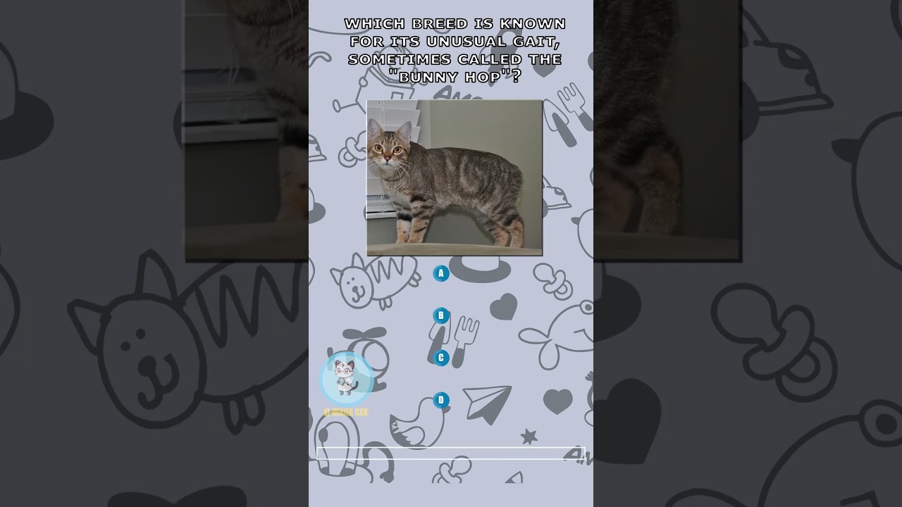 Think You REALLY Know Cats? Get 5/5 on This Quiz! 