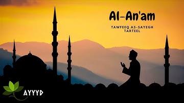 سورة الأنعام - توفيق الصائغ - ترتيل - بدون اعلانات