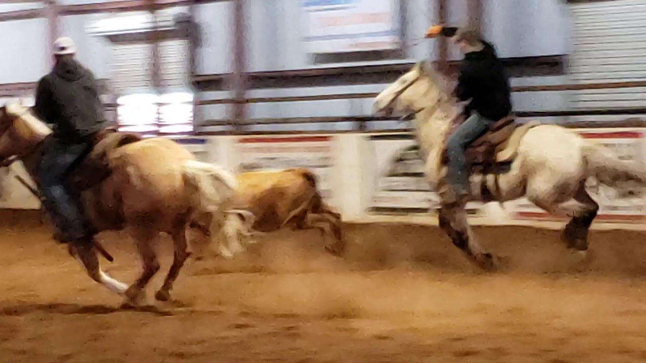 Yellowstone Lawyer Headingc YouTube