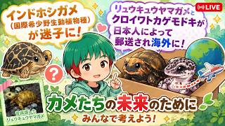 Live Stream Archive] It seems there were two news reports about