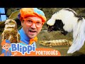 Blippi Alimenta os Animais do Zoológico! 🦎 Melhores Episódios 🟠 Vídeos Educativos para Crianças
