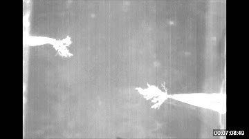 Electrical Treeing and Breakdown in Acrylic Glass - Point Point Interface