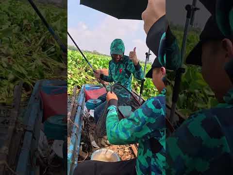 Búng bình thiên - T2 #caođàitổng #fishing #caucathugian