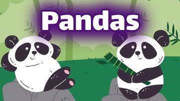 Pandas for Kids | Homeschool Pop