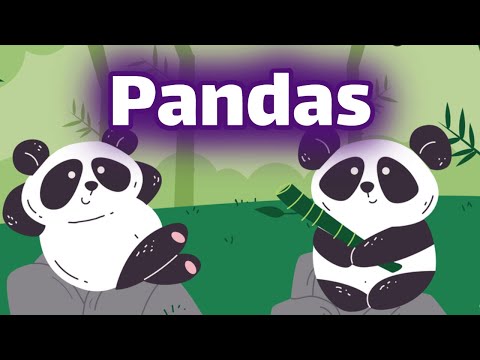 Pandas for Kids Instructional Video