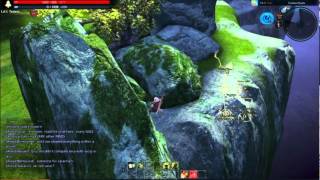 Tera EU Closed Beta 5 - Timeless Woods Bug 4