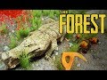 THE FOREST - Охота на Крокодилов!